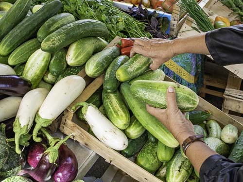 Cantines scolaires – Rentrée – menus de septembre